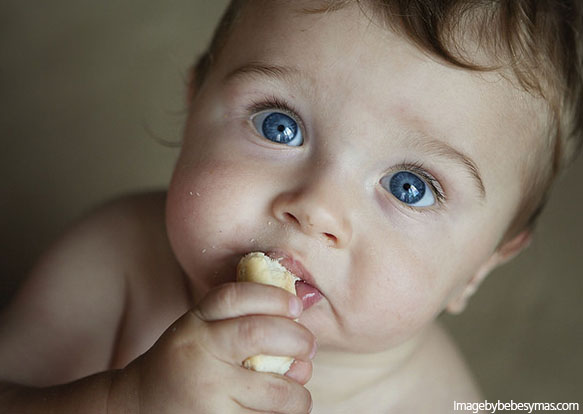 Dieta blw