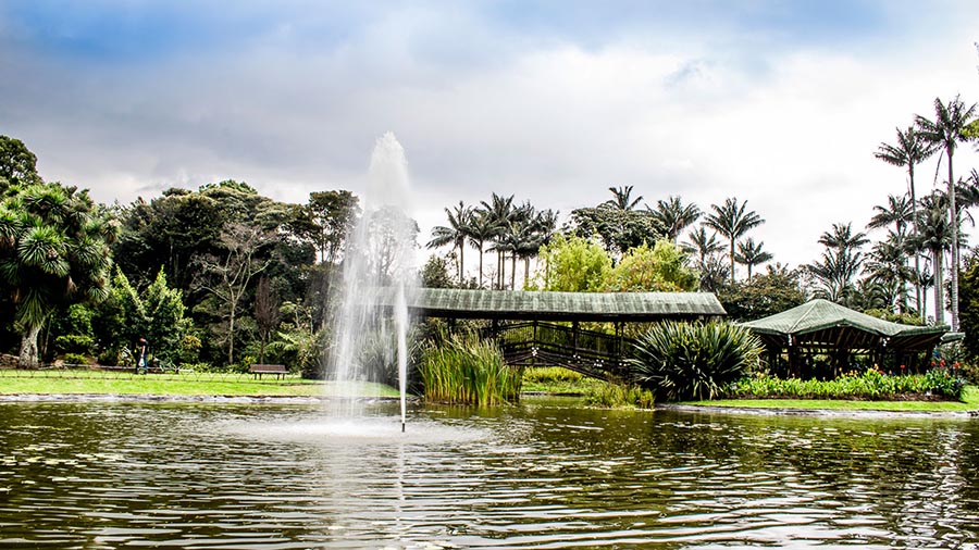 jardin botanico bogota